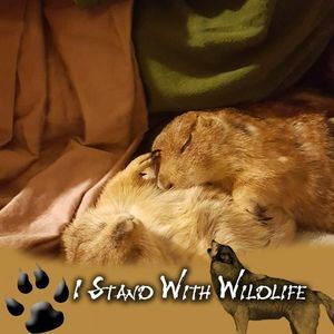 Meet your Posher, Carolyn